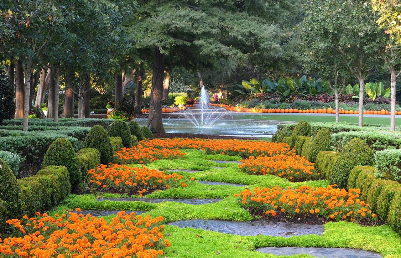 Los jardines se llenan de colores naranjas y sigue el verde en Dallas Arboretum entre sus fuentes y otros atractivos.