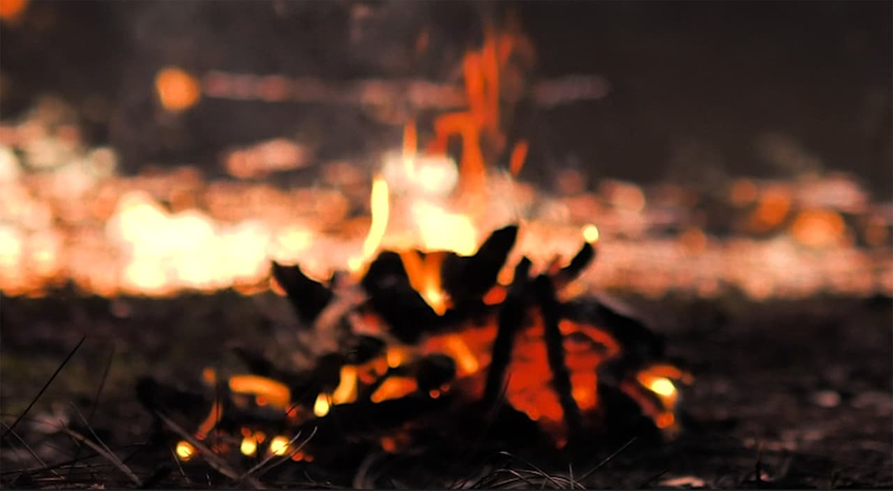 Evita arrojar materiales encendidos o inflamables. Evita quemar 
<a href="https://www.univision.com/local/philadelphia-wuvp/la-recoleccion-de-basura-en-filadelfia-esta-volviendo-a-la-normalidad-segun-alcalde-kenney">basura</a>. Al encender una fogata, elige un sitio alejado de árboles, pastos y hojarasca, y evita que salten chispas ya que pueden causar un conato de incendio.
<br>