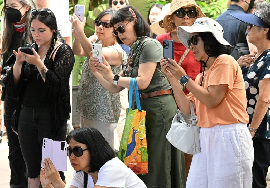 Con sus teléfonos celulares, las personas de visita en el Jardín Botánico pudieron documentar la experiencia.