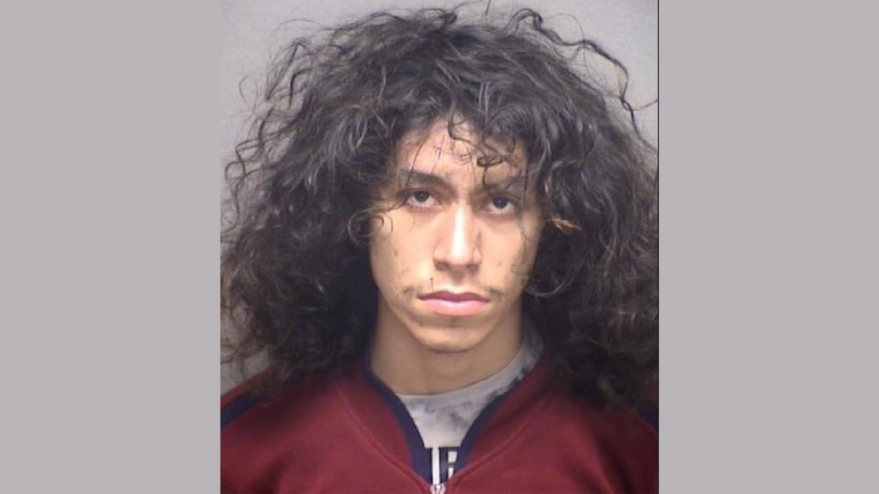 Joven es detenido por abusar física y sexualmente de perros y gatos en San Antonio