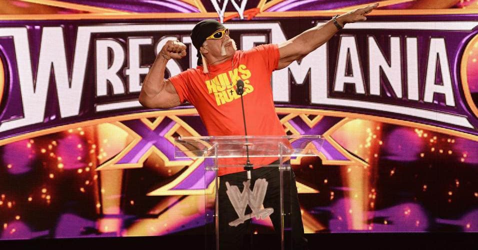 Hogan, de 62 años y cuyo verdadero nombre es Terry Bollea, demandó al sitio en 2012.