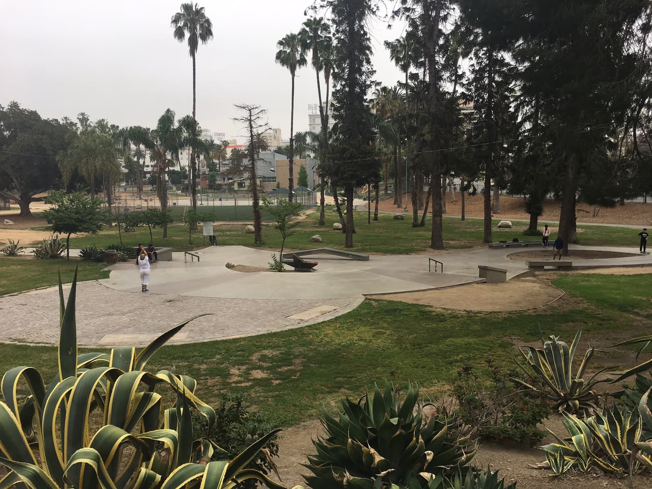 Desde el 2014 un asesinato ha ocurrido prácticamente cada año en el parque Lafayette y en sus alrededores.