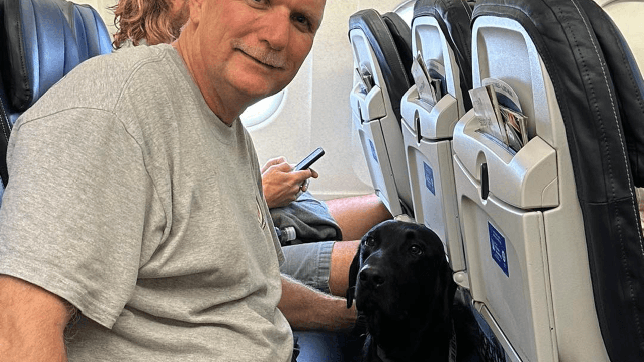 Perro policía de Florida ayuda a buscar personas desaparecidas tras devastadores incendios en Hawaii