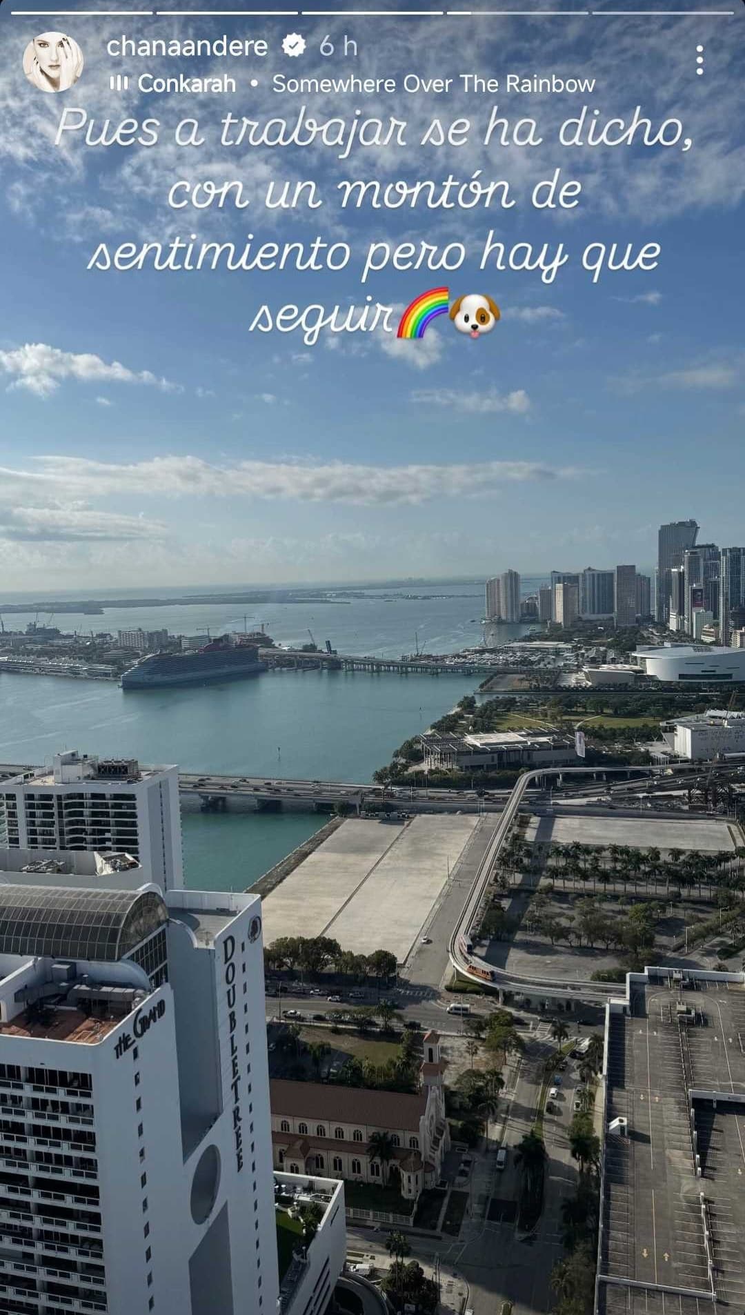 Chantal Andere regresó al trabajo tras la muerte de su perrita Mathilda.