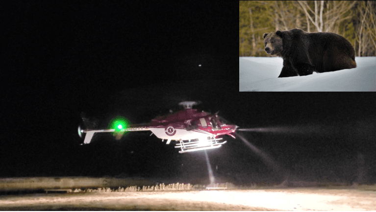 Hombre se dispara accidentalmente en la pierna cuando se defendía de ataque de oso grizzly