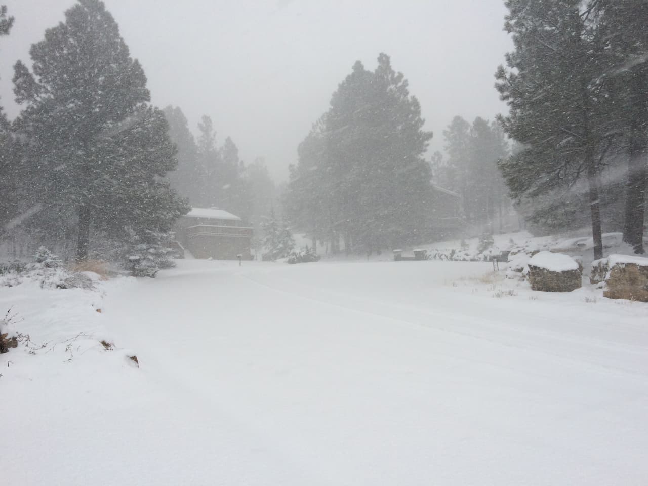 Desde el fin de semana no para de nevar en Flagstaff. El Distrito Escolar de Flagstaff cerró las escuelas el día de hoy debido a la nieve. La Universidad del Norte de Arizona sigue con horario normal. La I-40 está cubierta de nieve y el tráfico está lento debido a la nevada y poca visibilidad.
