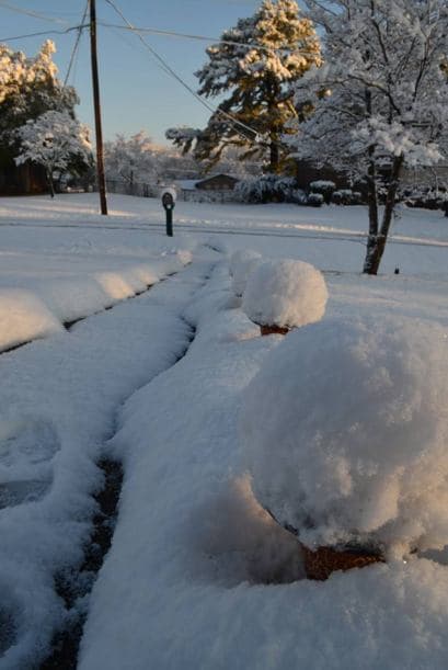 Cristal Angélica Santos nos envía saludos desde Birmingham, Alabama.