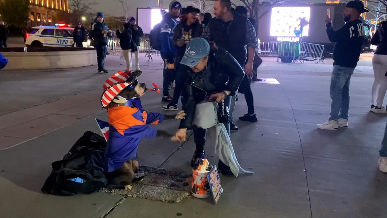 Ambas escuadras se enfrentarán de nuevo esta semana, pero ahora como parte de la pelota invernal dominicana.