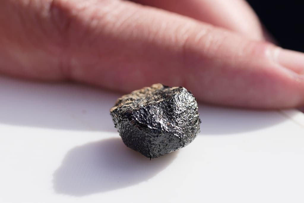 El cazador de meteoritos Roberto Vargas, de Connecticut, muestra uno de los meteoritos que encontró en Sharon Center, Ohio, el jueves 19 de marzo de 2026, tras la caída de un meteorito el 17 de marzo.