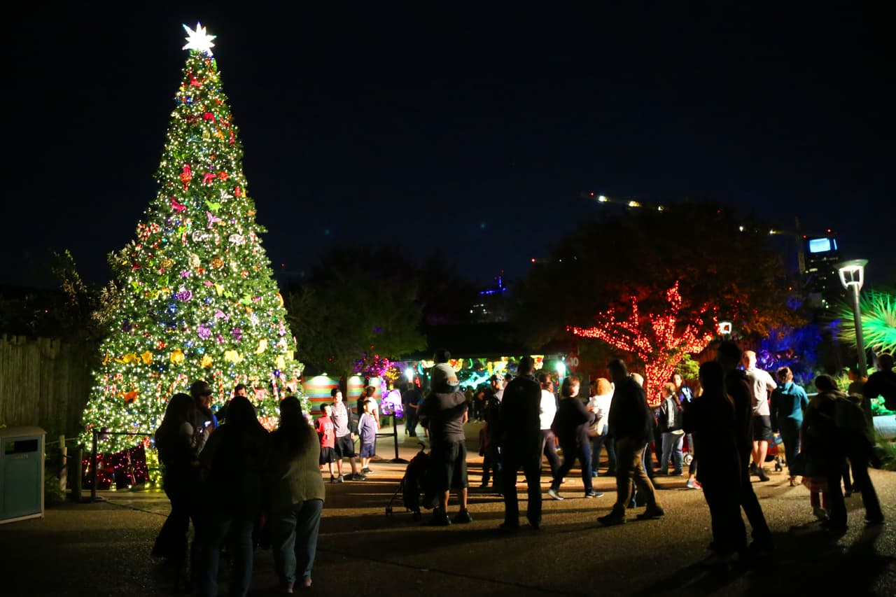 Un árbol de navidad de grandes proporciones hace parte del recorrido del festival de luces del zoológico.