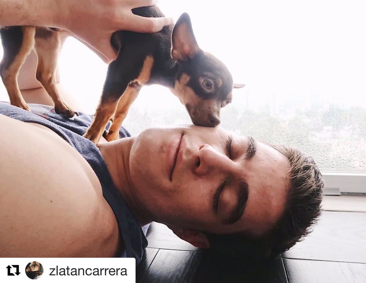 A Danilo le encanta compartir la ternura de Zlatan Carrera, por eso le abrió una cuenta en redes sociales para mostrar sus fotos.