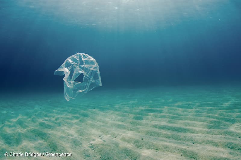 Contaminación plástica representada a lo largo de la costa del parque nacional Wadi El Gamal, Marsa Alam, Egipto.