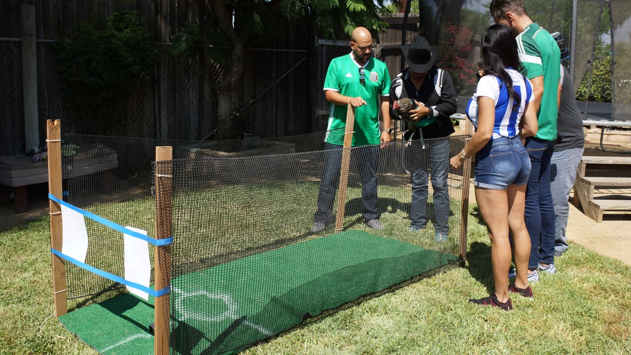 La Gallina Vidente llega al Gordo y La Flaca.