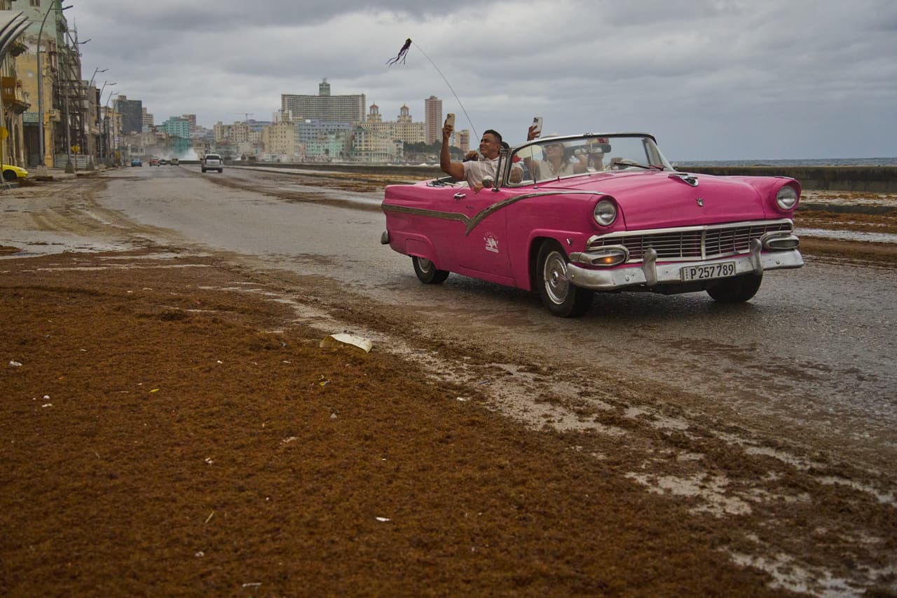 Unos turistas viajan en un automóvil clásico estadounidense por el Malecón, cubierto de sargazo, en La Habana, Cuba, el miércoles 28 de enero de 2026. (Foto AP/Ramon Espinosa)