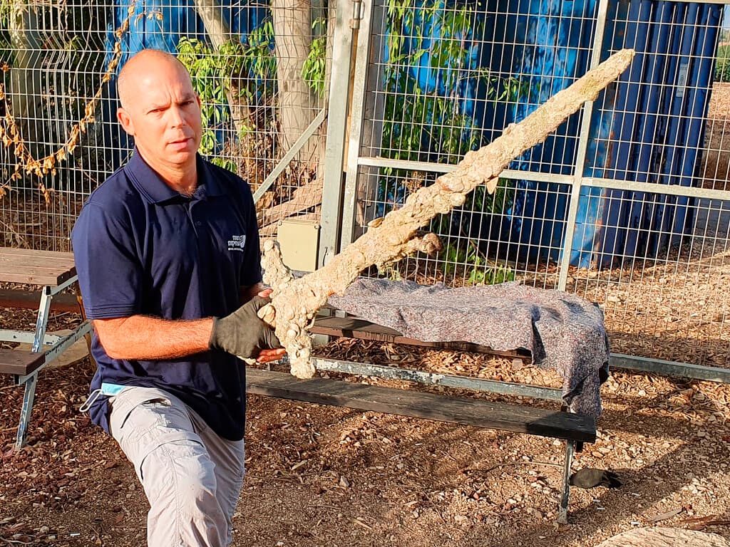 En esta imagen, distribuida por la Autoridad de Antigüedades de Israel, el inspector Nir Distelfeld sostiene una espada antigua descubierta por un buceador en la costa, cerca de Haifa, Israel.