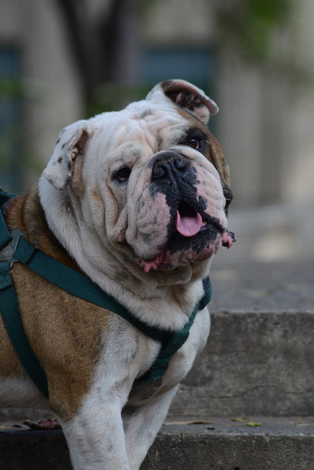 El Departamento de Física posee una secuencia curricular, también única en la isla, en Ciencias Atmosféricas y Meteorología. Desde su inicio, en el 2006, ha graduado 31 estudiantes: 10 féminas y 11 varones.
