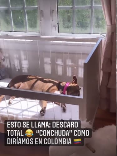 Carolina reveló en sus 'stories' de Instagram lo cómoda que estaba Mocha en la cuna de su hija Chloé Sophia, quien en el mes de febrero cumplió sus primeros dos años.