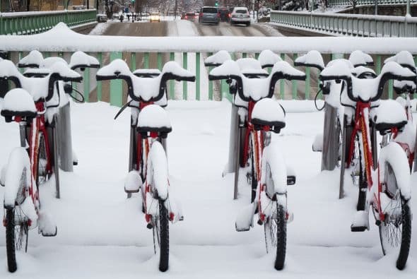 Las actividades deportivas también fueron canceladas por las autoridades en el área metropolitana.