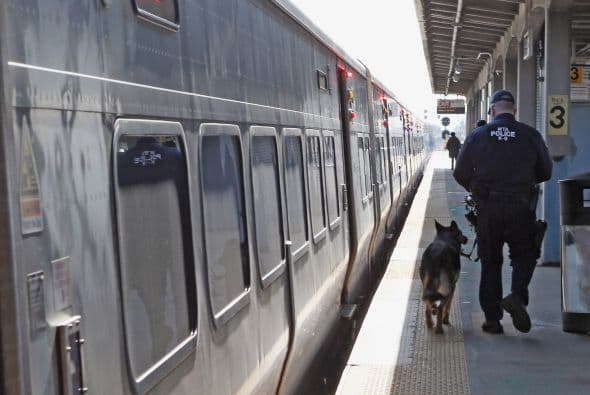 Los peatones, que normalmente pueden transitar frente al enrejado de la residencia del presidente Barack Obama y por el parque Lafayette, han visto cortado el paso con cintas amarillas y con agentes de policía apostados cada 10 metros, según pudo constatar Efe.