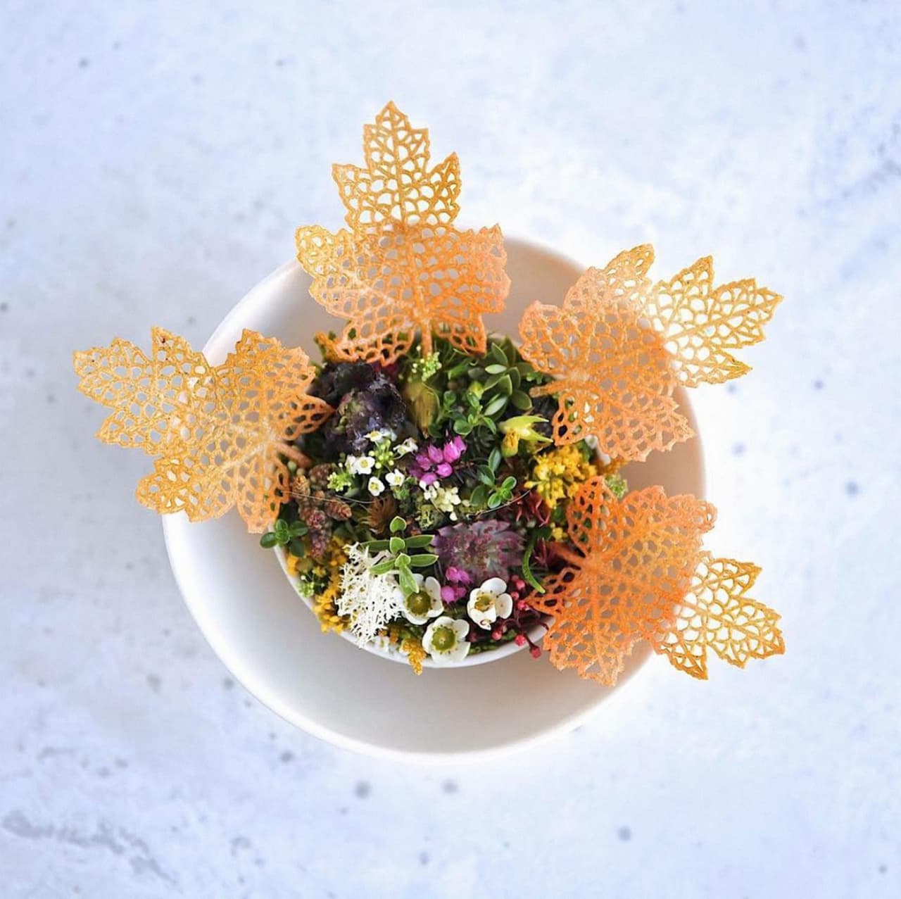 <b>Puesto 5: Geranium, </b>en Copenhagen, Dinamarca.
<b> </b>Estilo de comida: escandinava moderna. Ofrece un menú que mezcla la naturaleza y tecnología, inspirado en 
<a href="https://www.instagram.com/p/BhcF1jggOio/?utm_source=ig_web_copy_link">ingredientes orgánicos y silvestres escandinavos. </a>