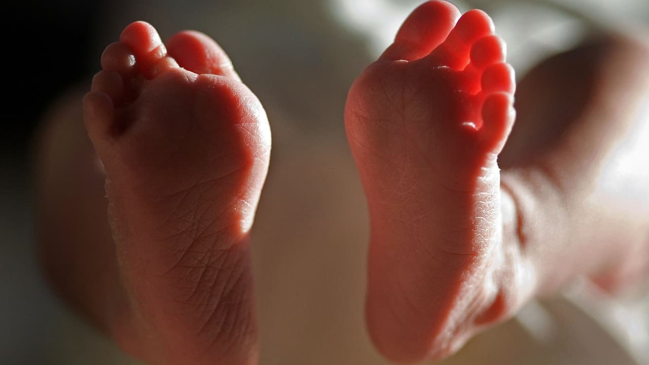 Niñera apuñala a madre de niños que cuidaba en disputa por dinero