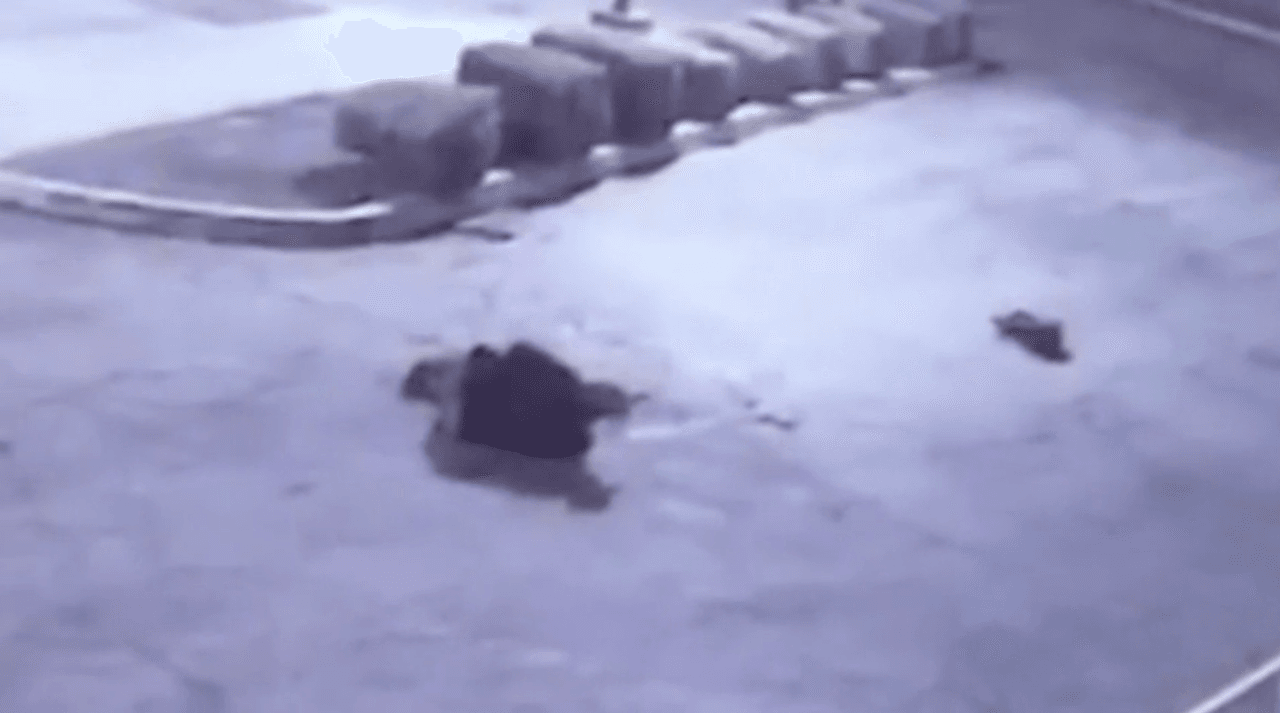 Los paramédicos declararon a Rosas muerto en la escena, según oficiales.
<br>