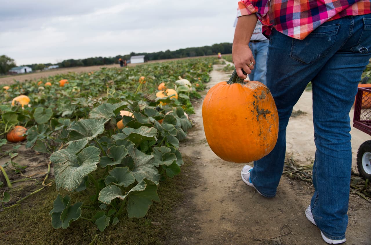 Sweet Eats Fruit Farm en Georgetown también reabrió pero requiere la compra de boletos para separar su entrada de antemano.