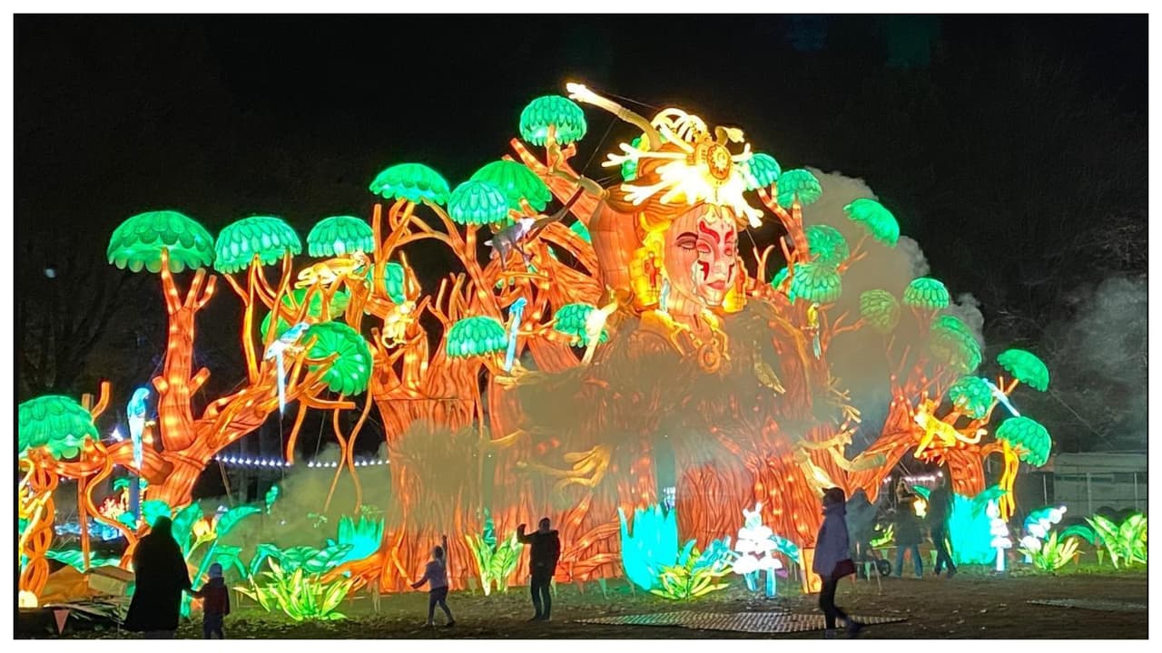 <a href="https://www.luminocityfestival.com/">Lumino City Festival</a>
<br>1899 Park Blv. East Meadow
<br>
<a href="https://www.google.com/maps/dir/Eisenhower+Park,+1899+Park+Blvd,+East+Meadow,+NY+11554/@40.7279547,-73.5702754,17z/data=!4m16!1m6!3m5!1s0x89c287586cc9382d:0x1b8d385fa462a870!2sEisenhower+Park!8m2!3d40.7279507!4d-73.5680867!4m8!1m0!1m5!1m1!1s0x89c287586cc9382d:0x1b8d385fa462a870!2m2!1d-73.5680867!2d40.7279507!3e2">Cómo llegar</a>
<br>En Randall’s Island se presenta desde el 23 de noviembre hasta el 8 de enero Lumino City Festival, evento que se presenta como 
<b>“el espectáculo de luces más grande del mundo”. </b>