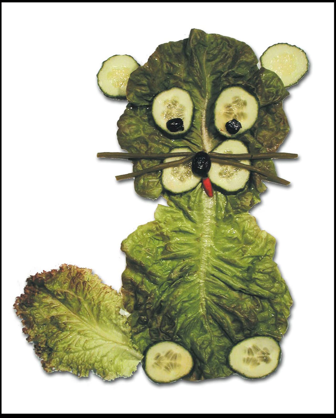 Daniel Ricon es otro artista que usa los vegetales como base para hacer sus magníficas obras de arte. ¿Qué tal un minino con orejas de pepino?