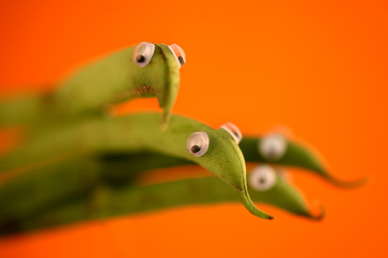 Otros prefieren andar en grupo y ser devorados por entero.