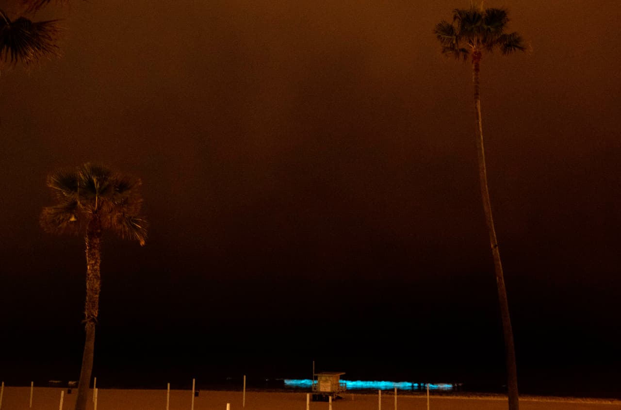 Este programa permite que residentes, científicos y aficionados controlen la presencia de toxinas en la marea roja y en los mariscos.
