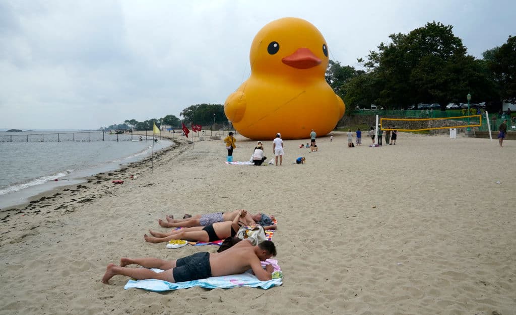 Se trató de una sorpresa para quienes acudieron a la playa, como cualquier otro fin de semana, a tomar sol.