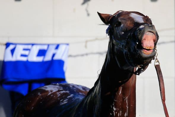 Se mantuvo sereno en el partidor número dos antes de caminar desde el túnel a la pista, haciendo varias pausas para los fotógrafos.