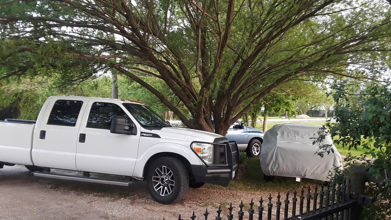 Algunos vecinos optaron por dejar sus autos debajo de un árbol para protegerlos del granizo.