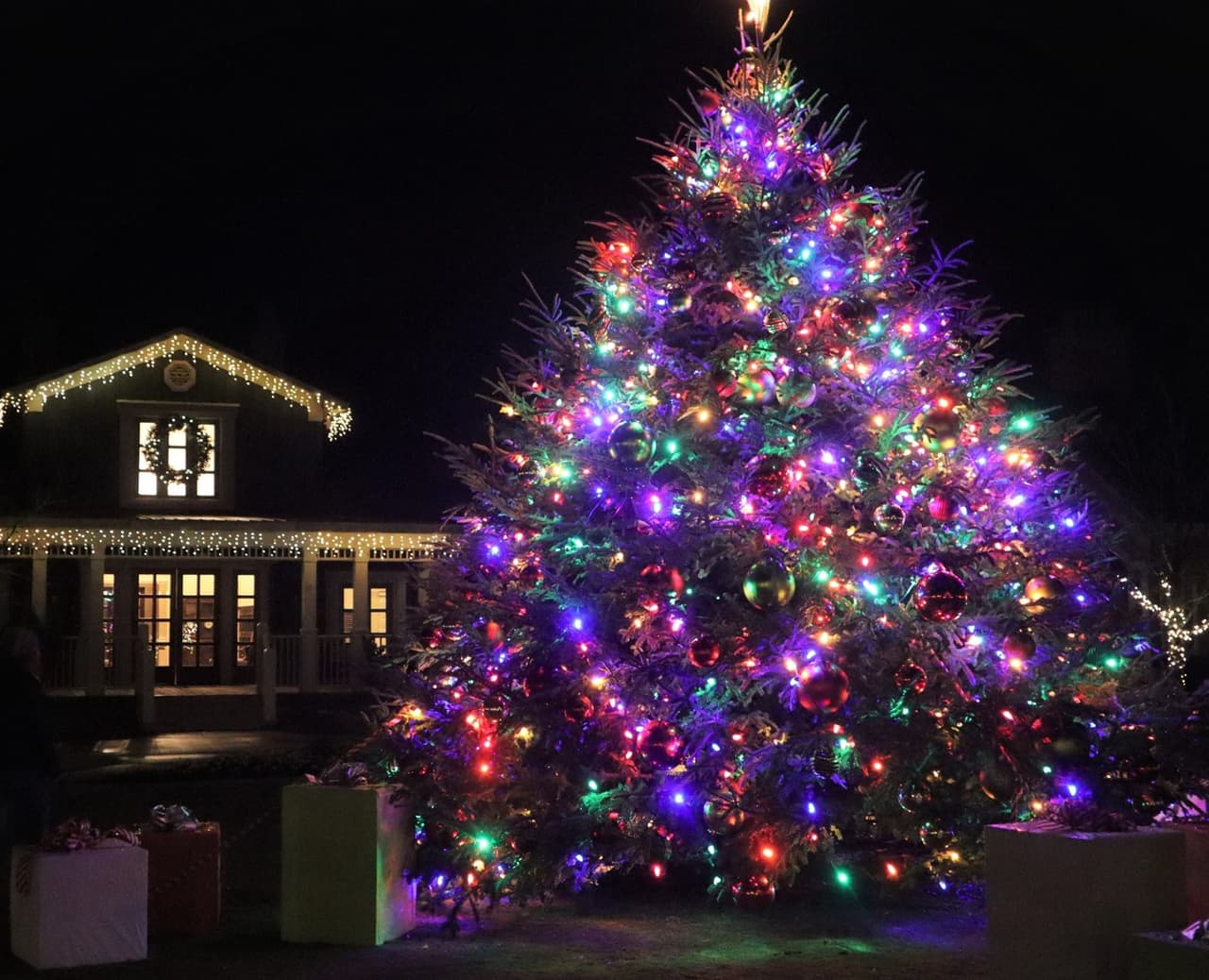 Luces navideñas en Barnsley ResortLos visitantes de Barnsley Resort (incluidos aquellos que no se quedan a pasar la noche) pueden ver más de 1 millón de luces y decoración festiva en las ruinas históricas de la casa solariega del siglo XIX, los jardines circundantes y el pueblo de estilo inglés.