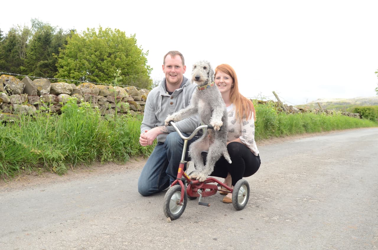 Su humano, Wayne, recuerda perfectamente que un día la tabla estaba en el patio de la casa.