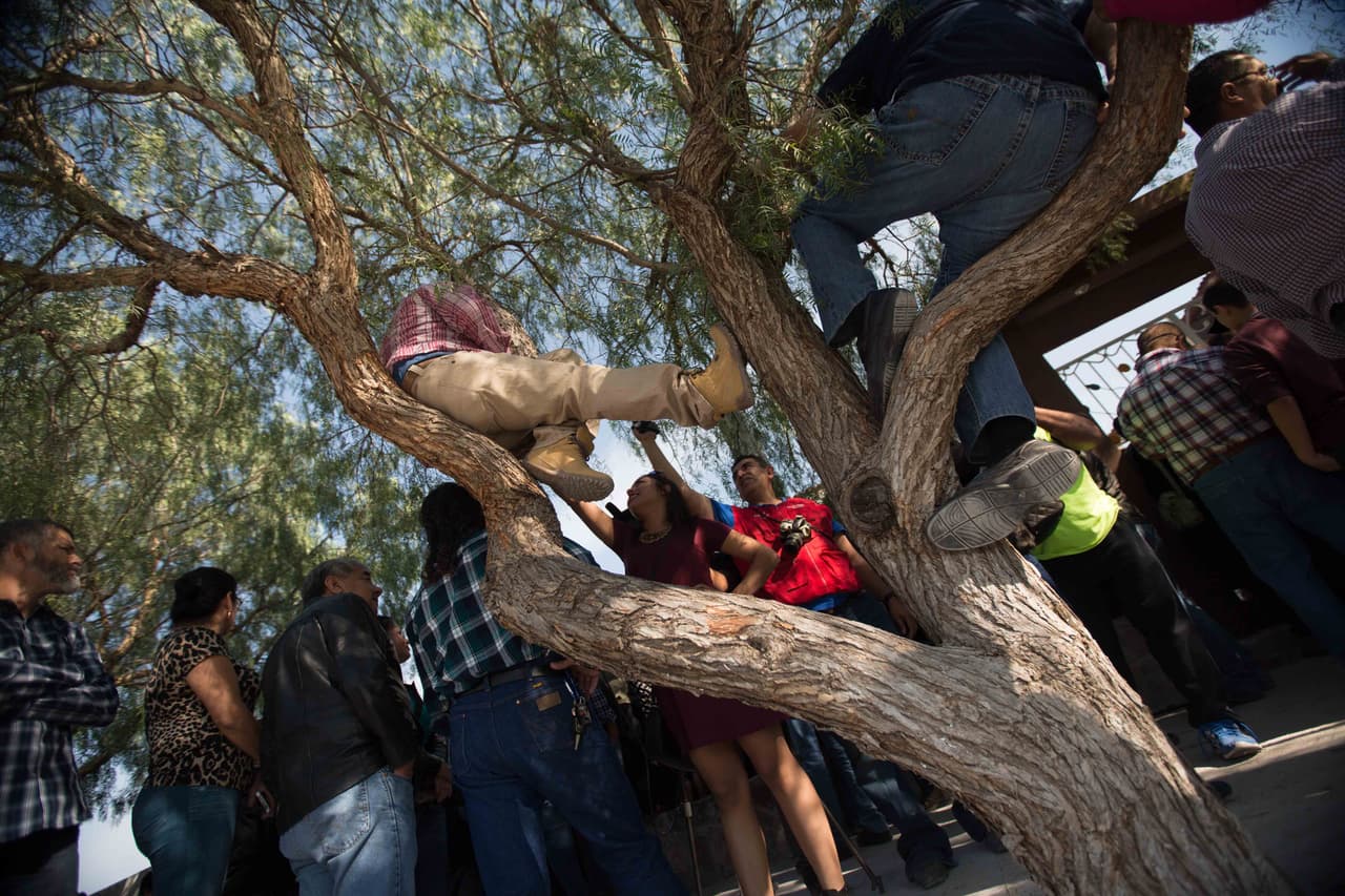 Periodistas entrevistan a dos personas encaramadas a los árboles fuera de la casa de Rubí Ibarra para verla salir la mañana de sus XV. Aunque no hay un conteo preciso, se estima que cientos de periodistas asistieron al evento.