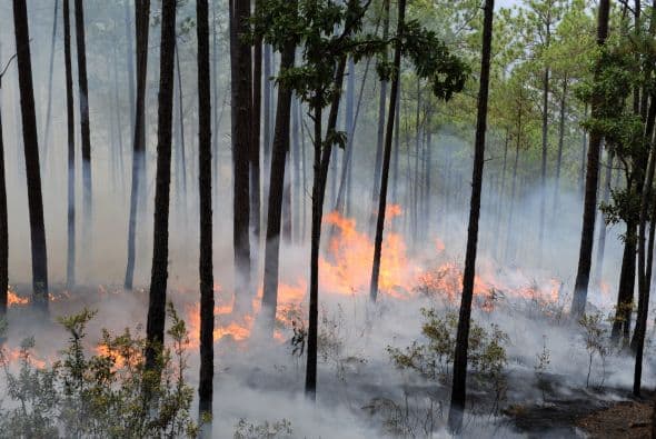 Éstos incluso han dificultado las operaciones aéreas.