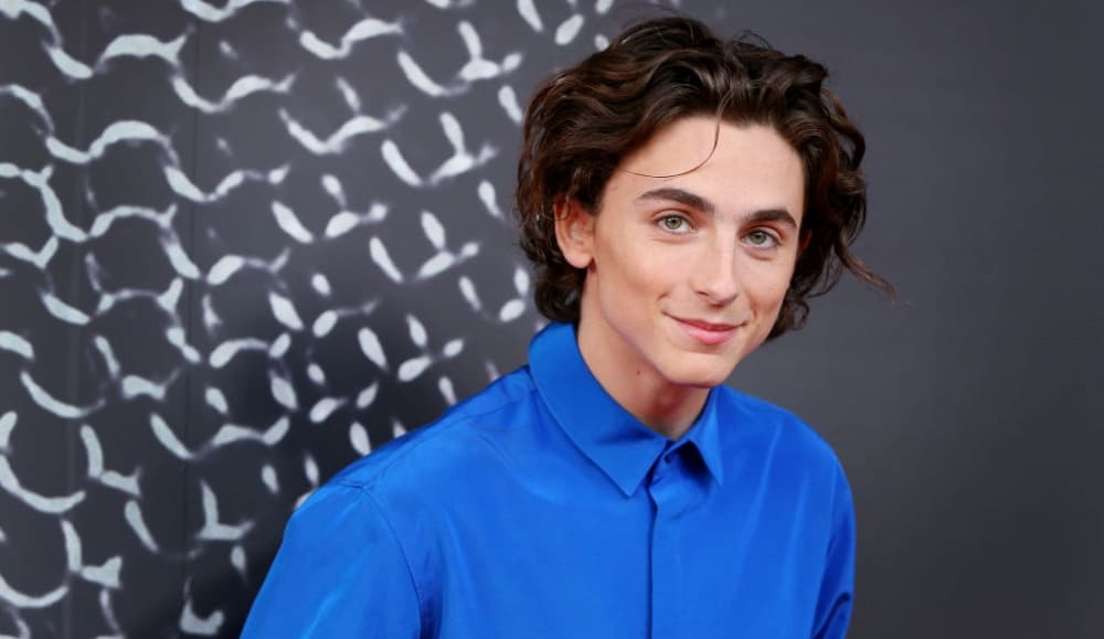 Timothée Chalamet es uno de los actores jovenes de Hollywood más populares