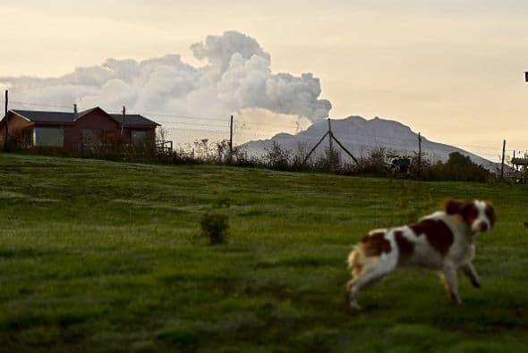 Siembras y pastizales sufrieron los daños de la actividad volcánica en el área aledaña.
