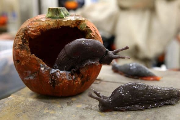 Las instalaciones se cubrieron de espeluznantes objetos que a más de uno le provocarán miedo.