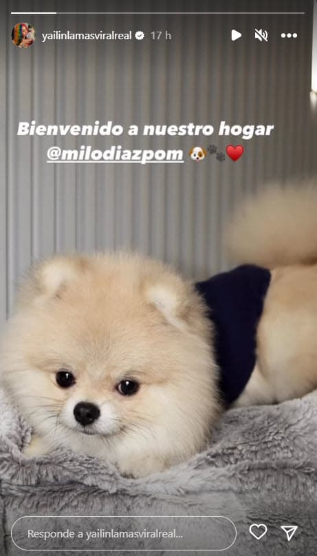 Yailin presenta a su mascota Milo.