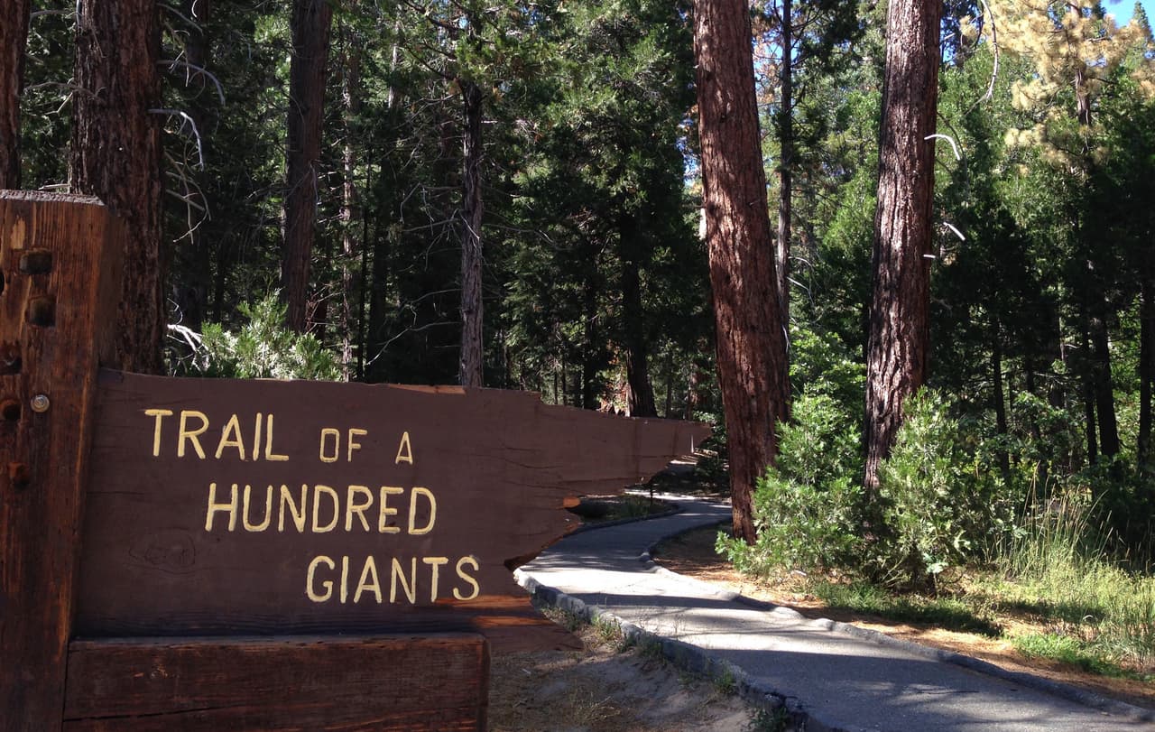 El sendero de los 100 gigantes