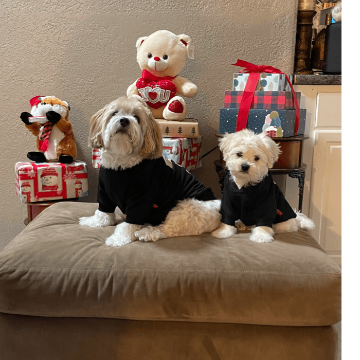 Así, José Torres, festeja la Navidad con los pequeños de la casa Buddy y Munchie. ¿Será que les hace tarjeta de la temporada?