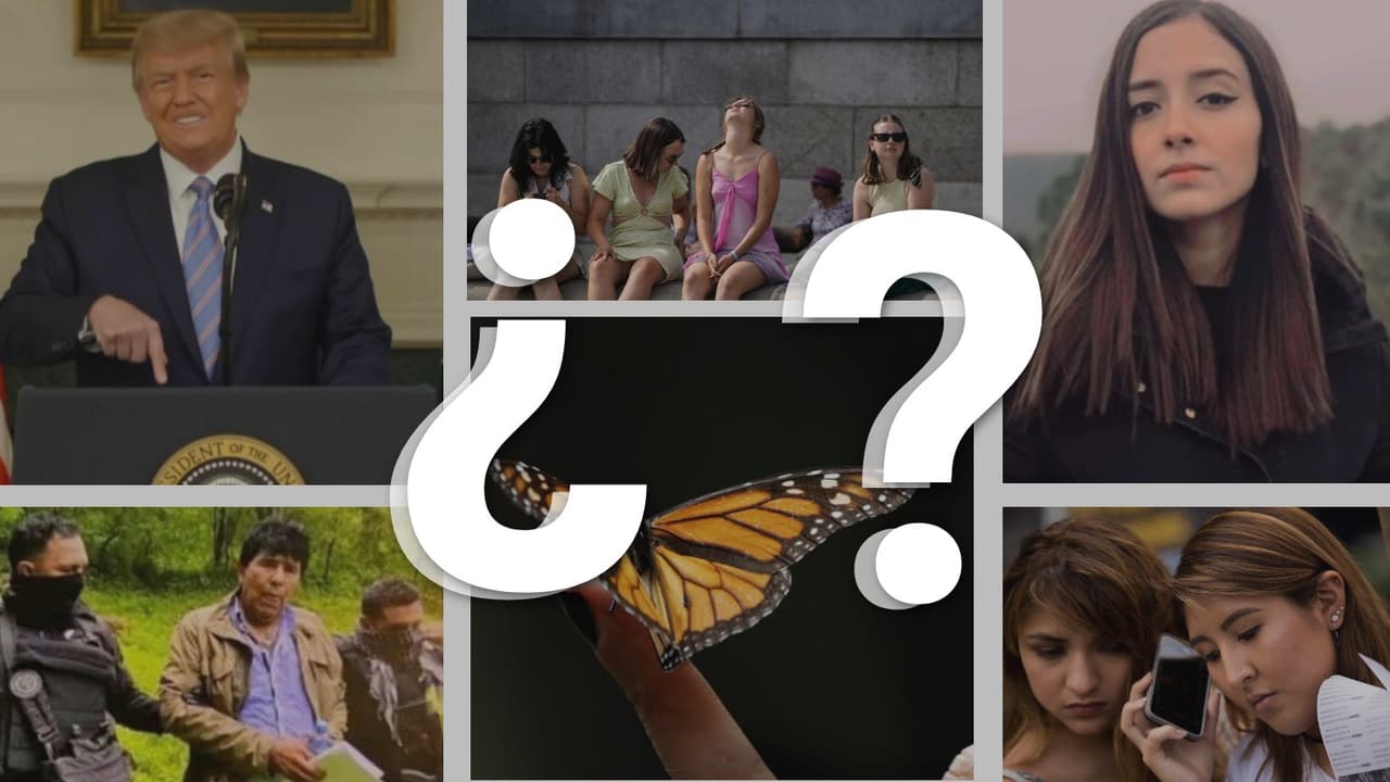 Muere otra mujer que fue quemada viva, el Papa pide perdón y se contrae la economía: ¿conoces las noticias de esta semana?