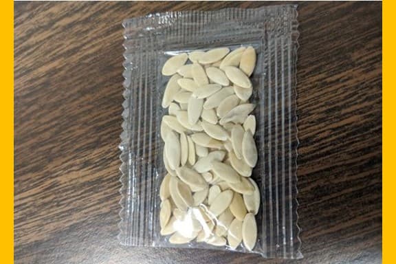 Parecen semillas de calabaza, pero las autoridades de agricultura de Ohio recomiendan a quienes las reciban por correo, sin haberlas solicitado, que no abran el paquete y reporten el hecho.
