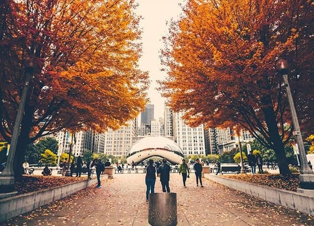 • Chicago embrujada: se destacan algunas paradas, estancias y vistas sorprendentemente espeluznantes de la ciudad como la histórica Water Tower, el kayak a lo largo del río Chicago, un paseo por el zoológico Lincoln Park y una estadía en The Drake Hotel.