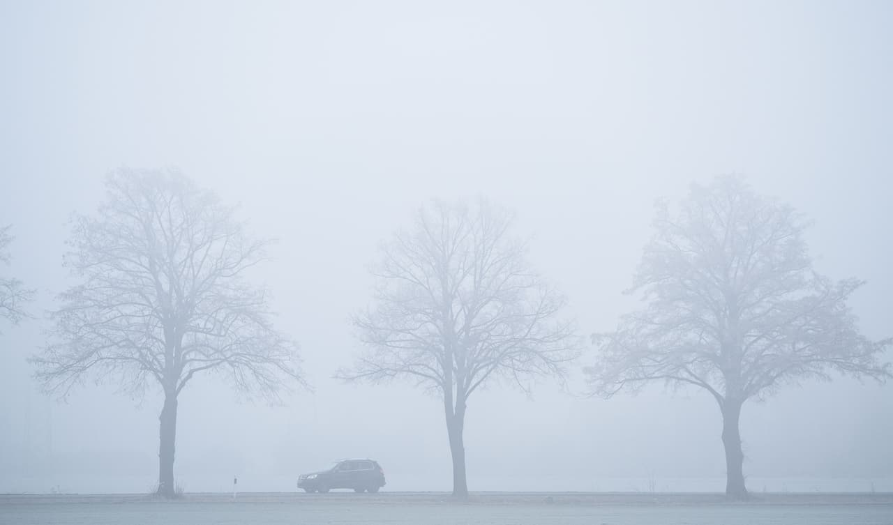 Utiliza faros antiniebla, si los tiene. No utilice luces altas (luces brillantes). Disminuye la velocidad y usa el limpiaparabrisas y el descongelador para maximizar la visibilidad.
