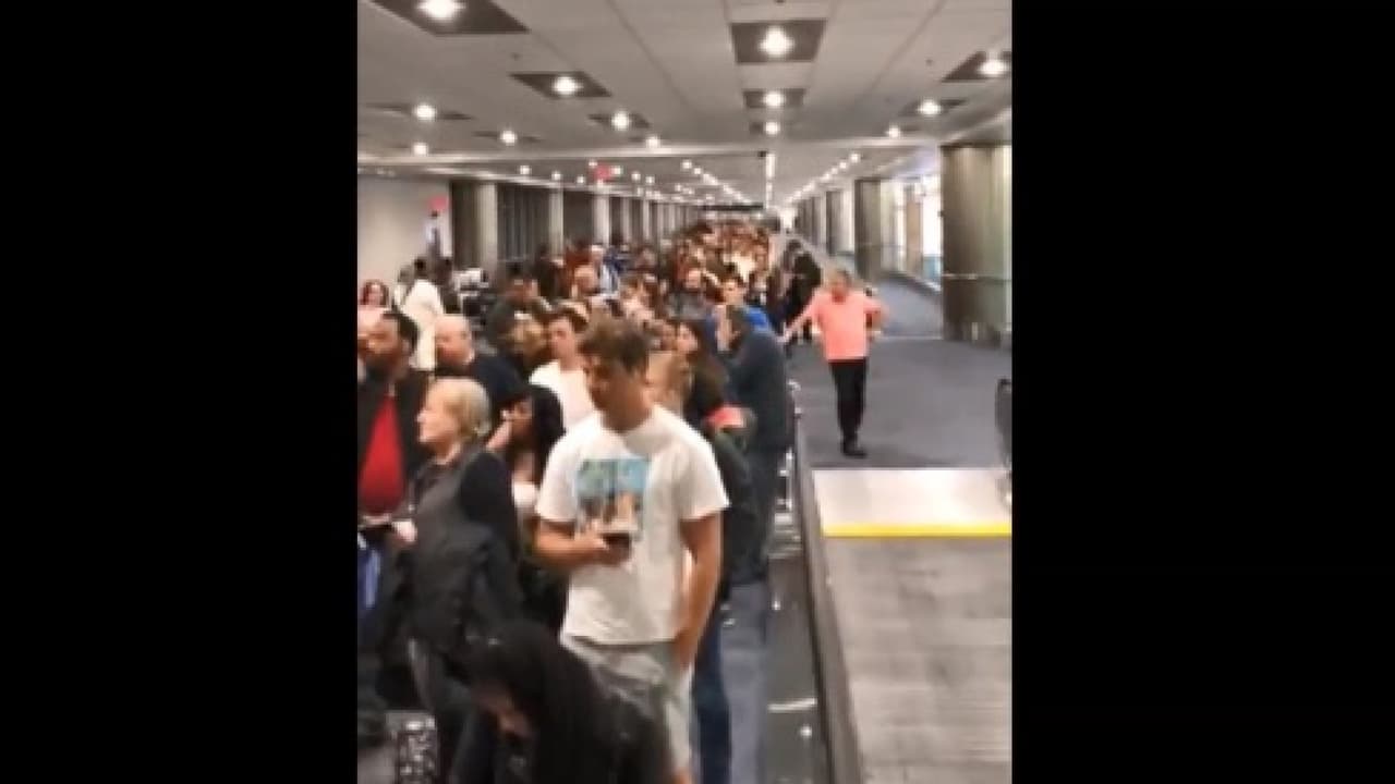 Varios aeropuertos de EEUU afectados por una caída del sistema de control de aduanas, que causa largas filas