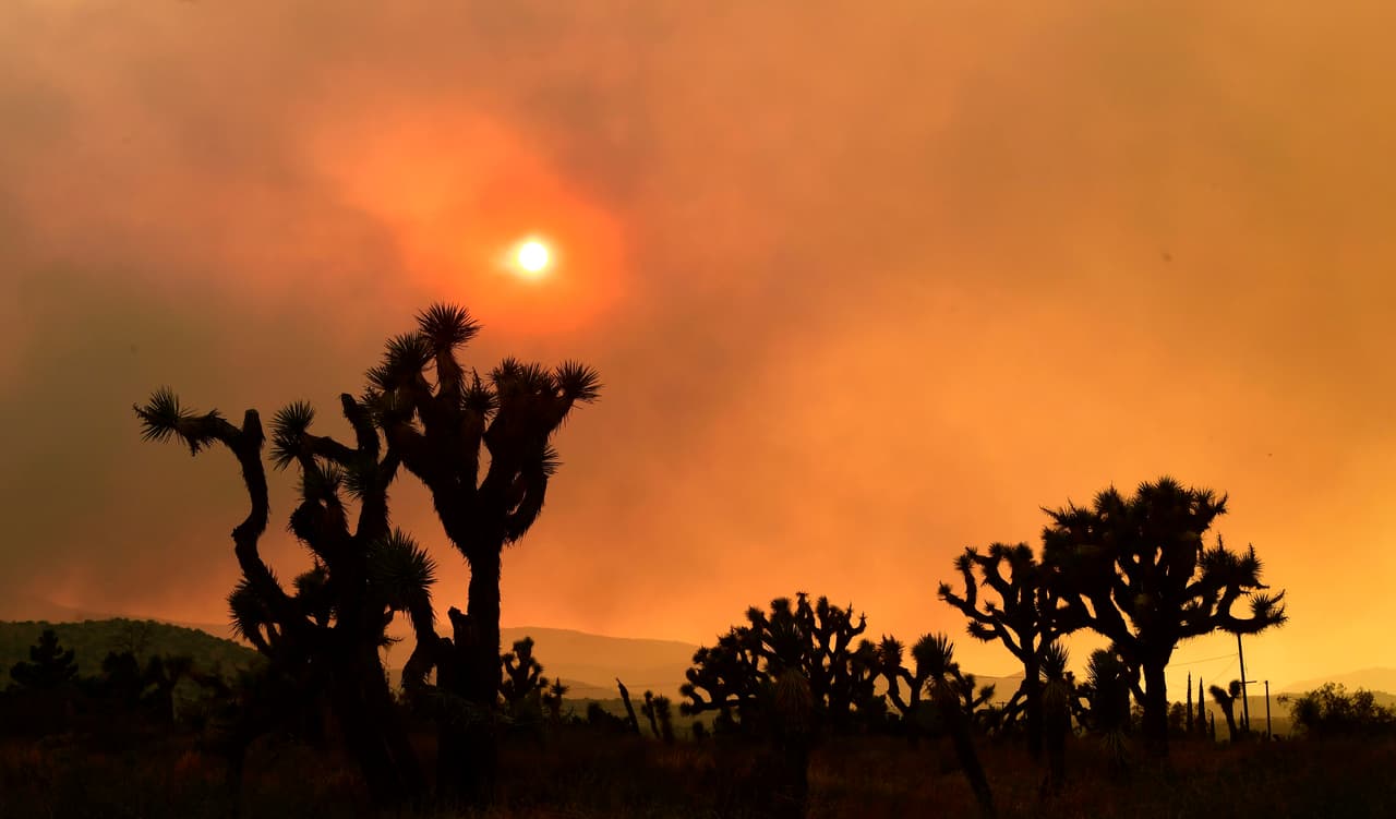 Bandera Roja: extienden aviso por riesgo de incendios en el sur de Arizona